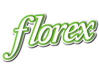 franquicia Florex  (Limpieza / Tintorerías)